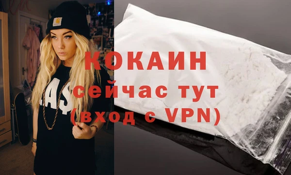 стаф Осташков