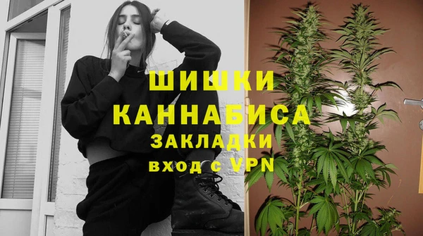 стаф Осташков