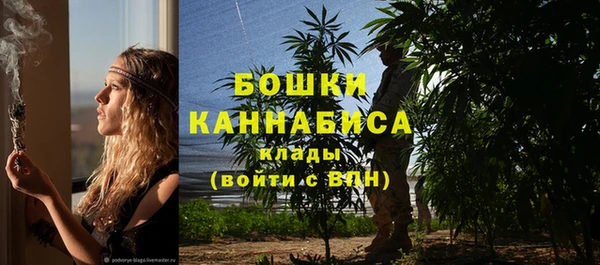 стаф Осташков