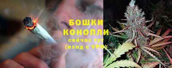 сатива Осинники