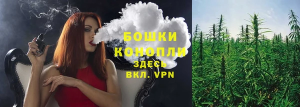 сатива Осинники