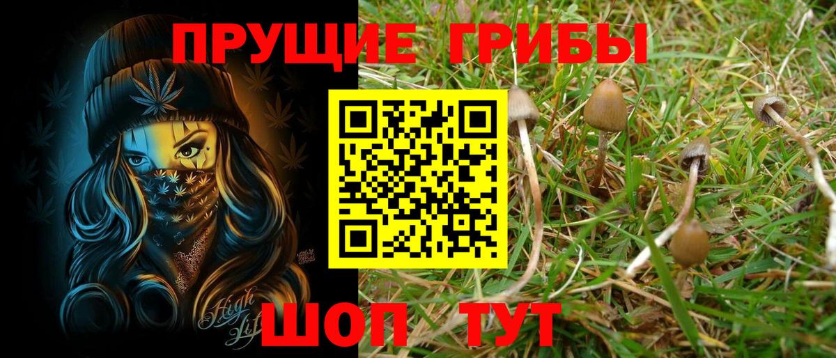 Галлюциногенные грибы Cubensis  Вход с VPN  Конаково  Псилоцибиновые грибы MAGIC MUSHROOMS 
