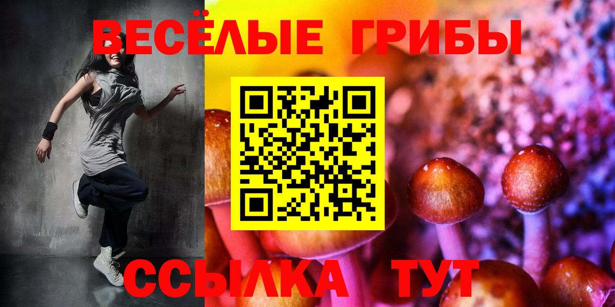 Псилоцибиновые грибы прущие грибы Конаково